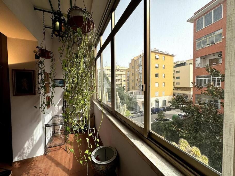 Mancinelli Art Apartment *